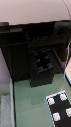 IMAG0663_BURST001.jpg