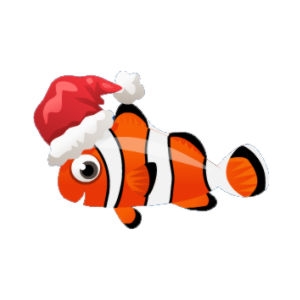 Santa Clownfish_300.jpg