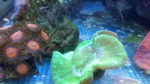 20141225_201827[1].jpg