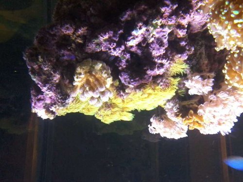 20150104_210548.jpg