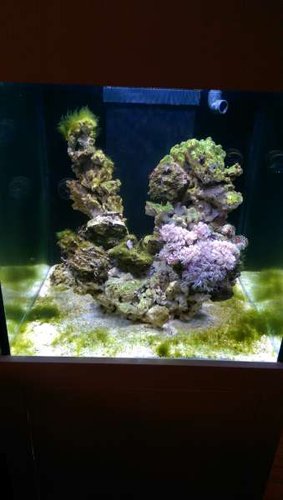 IMAG0686.jpg