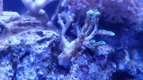 20150111_155201.jpg
