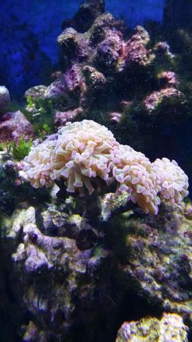 20150112_121207.jpg