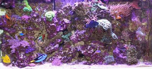 20150121-IMG_9681.jpg