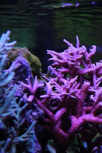 IMG_6178.JPG