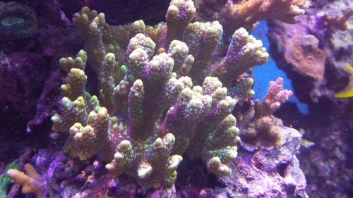 20150220_123232.jpg