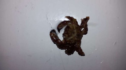 20150315_150813.jpg