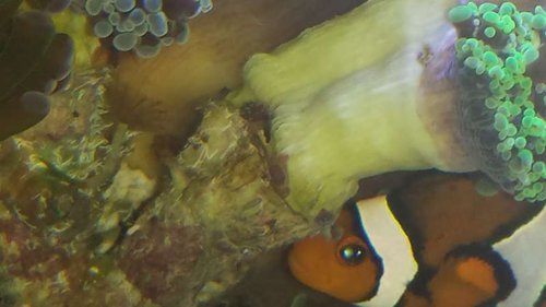20150323_173540.jpg