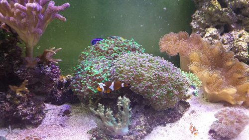 20150323_174704.jpg