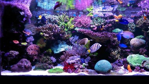 2015-04-13 20.57.18.jpg
