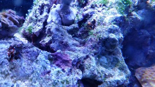 20150420_220651.jpg