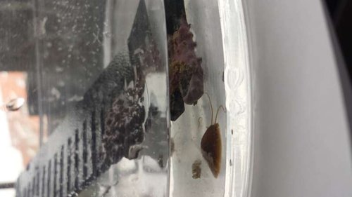 20150424_174408.jpg