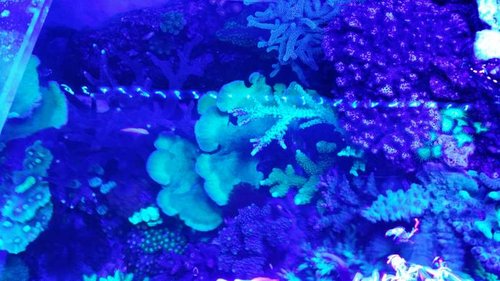 20150529_223632.jpg