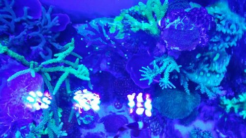 20150529_223750.jpg