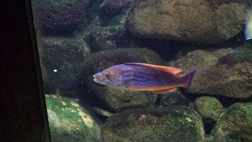20150622_145042.jpg