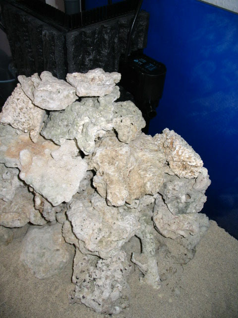 Reefny-005.jpg