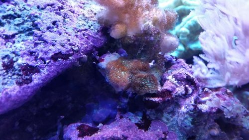 20150712_112219.jpg