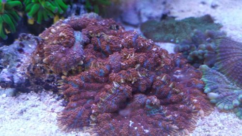 20150712_172939.jpg