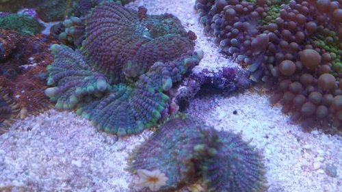 20150712_172944.jpg