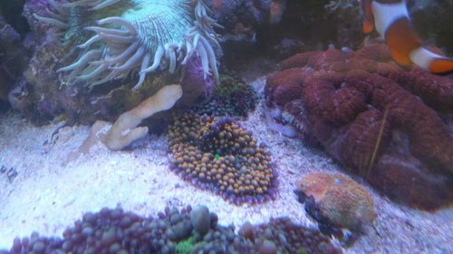20150712_172953.jpg