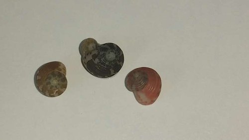 20150714_183207.jpg