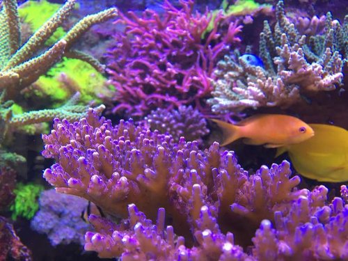 2015-07-15 16.48.19.jpg