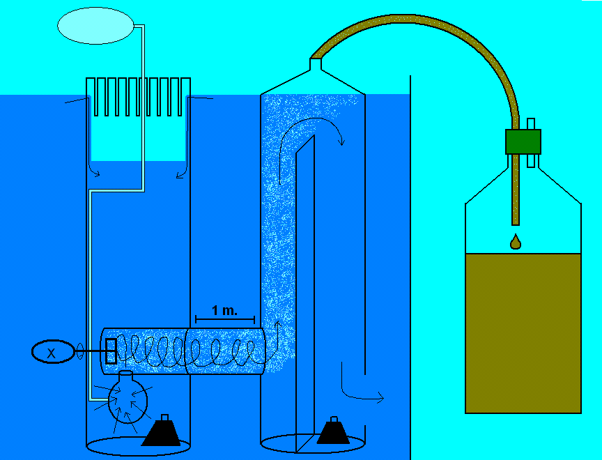 skummer 4.GIF