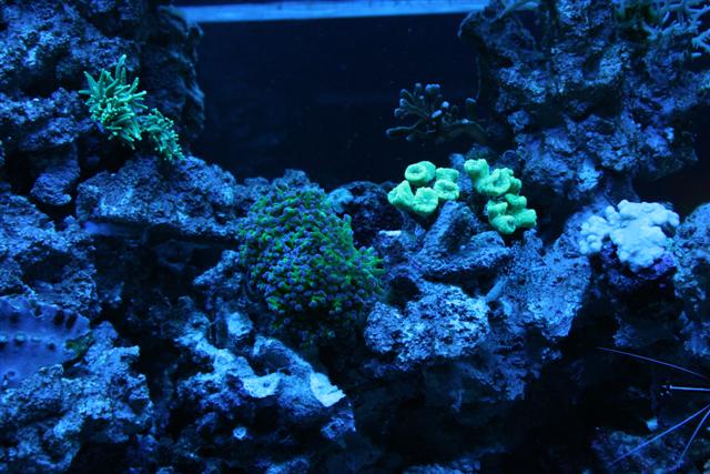 IMG_6602 (Small).JPG