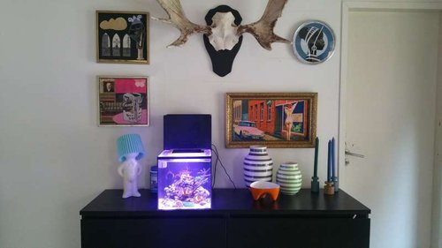 20150918_180306.jpg