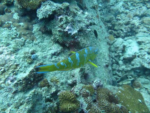 IMG_0077.JPG
