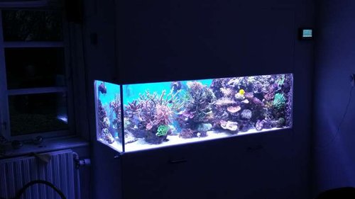 20151006_185415.jpg