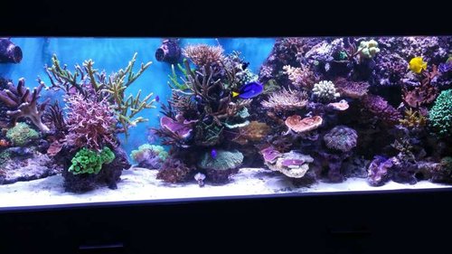 20151006_185429.jpg