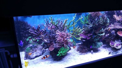 20151005_203212.jpg