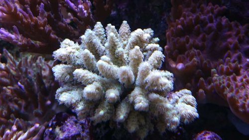 20151006_185523.jpg