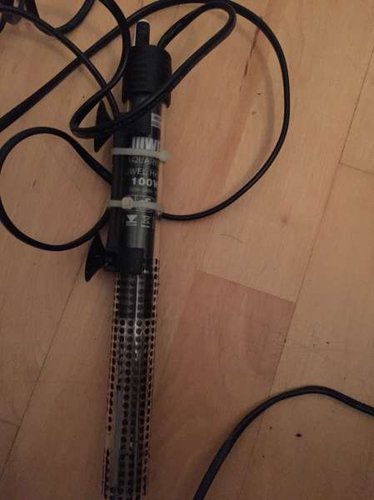 100w originalt Juwel Varmelegme