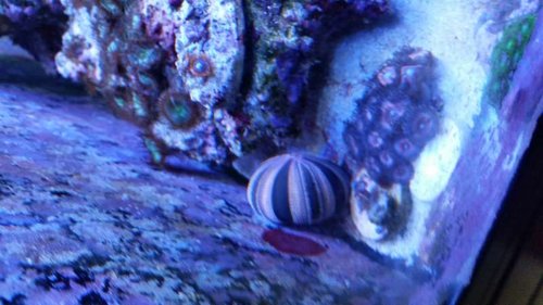 20151022_172108.jpg