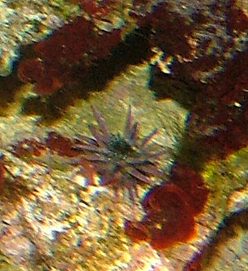Image2.jpg