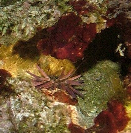 Image5.jpg