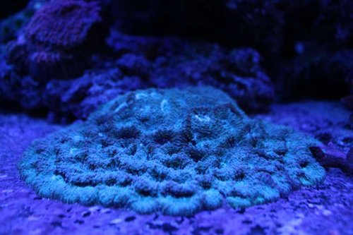 IMG_9786.JPG
