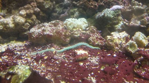 DSC_0167.JPG