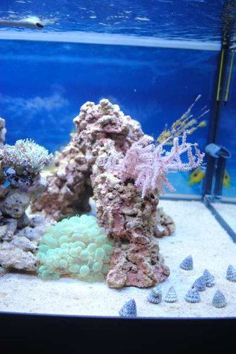 11.JPG (32.66 KiB) Vist 3484 gange Højre side