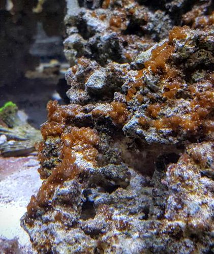 20160118_161451.jpg