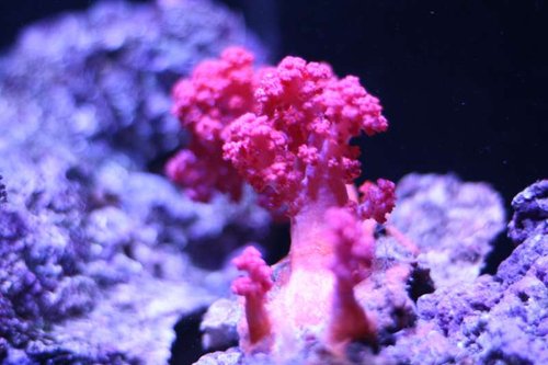 IMG_1669.JPG