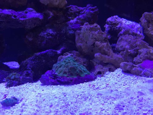 2016-03-03 20.39.16.jpg