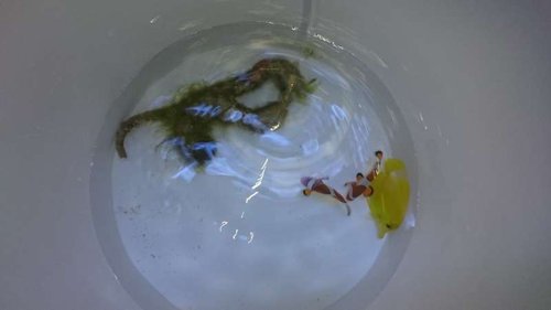 Fisk og rørorm er lige lagt i spanden og klar til drypmetoden