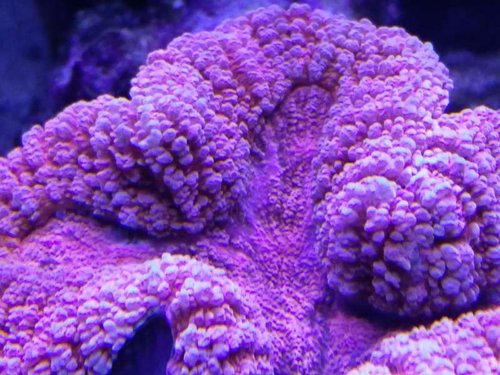 IMG_20160312_210807.jpg