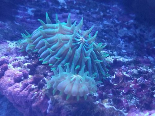 20160330_194115.jpg
