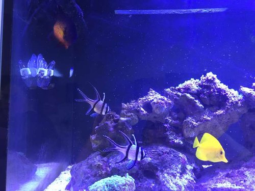2016-03-29 18.09.19.jpg