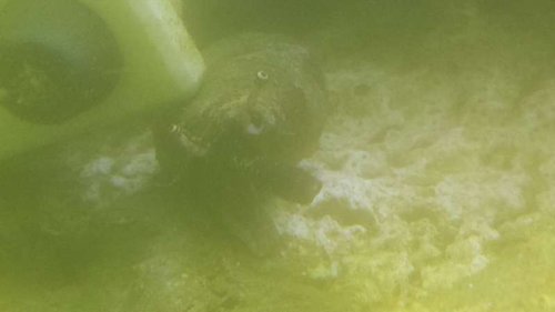20160516_224711.jpg