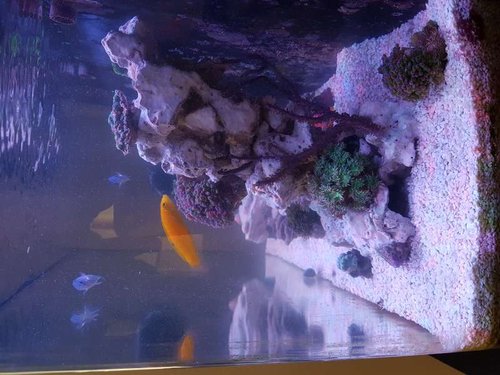 20160601_184253.jpg